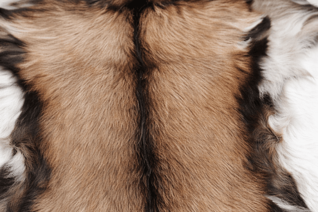 goat skin natural fur for home decor rustic style leather rug